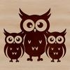 A cartoon owl illustration in a simple design style.