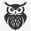 Stunning Owl Illustration