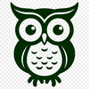 Beautiful Owl Vector Illustration