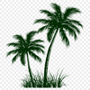 Beautiful Palm Tree - Laser Engraver DXF Free Download