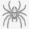 Spider Vector Craft File In SVG, PNG, PDF And DXF Formats