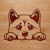 A small Japanese breed dog with distinctive fox-like features peeking out from behind something.