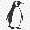 Unique Penguin In PNG - For Free Download, Commercial Use