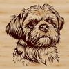 An illustration of a small dog with a flat face, long fur, and a sweet expression.