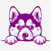 Shiba Inu Digital Artwork In SVG, PNG, PDF And DXF File Formats