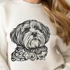 Stunning Havanese Vector Image