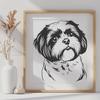 Creative Shih Tzu - For Animal Project