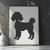 Poodle In SVGs - Free Commercial Use License