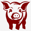 Beautiful Pig Clipart