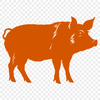 Pig In PNG For Download, Free Commercial Use