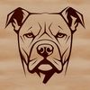 Beautiful Pitbull Facial Illustration An accurate representation of a Pitbull's facial features, ideal for digital designs and crafts.