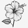 Plant Template In SVG, PNG, PDF And DXF Formats