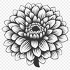 Floral Cricut In SVG - Digital Download