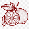 Fruit Image In PNG & SVG - Free Digital Download