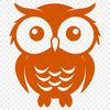 Stunning Owl - Glowforge PNG Free Download