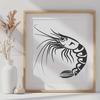 Beautiful Prawn PNG