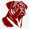 Stunning Pug In PDF - Free Digital Download