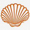 Unique Seashell In SVG Format - Free Download