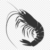 Artistic Prawn PDF