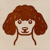 Poodle Portrait Vector Illustration A detailed illustration of a poodle's head with features suitable for vector design and cutting machine applications.