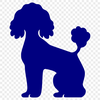 Standing Poodle Vector Image