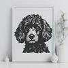 Unique Poodle In SVG, PNG, PDF And DXF File Formats - Free