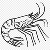 Free Beautiful Prawn - Free DXF Download, Commercial Use