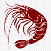 Free Shrimp Image