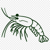 Shrimp In PDF Format - Free Commercial Use License