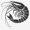 Beautiful Shrimp Clip Art