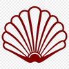 Artistic Seashell In PNG Format - Free Download