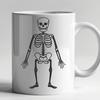 Standing Skeleton PNG - Digital Drawing For Commercial Use