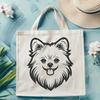 Stunning Pomeranian In SVG - Free Download