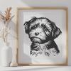 Beautiful Havanese In DXF Free Commercial Use Download