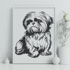 Sitting Shih Tzu Illustration