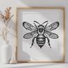 Free Bee - Sublimation DXF Free Download