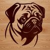 A close-up illustration of a dog's head with wrinkled skin and curled tail.