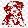 Free Beautiful Havanese Drawing