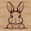 Adorable Cartoon Bunny Face Close-up illustration of a rabbit's head with detailed features.