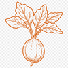 Vector illustration of a radish suitable for commercial or personal use in various graphic designs.