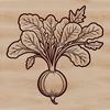 A root vegetable, radish, illustrated in vector art.