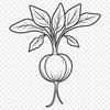 A detailed illustration of a radish, useful for cutting out with a machine or laser engraving.