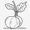 A simple illustration of a radish in vector format, suitable for commercial or personal use.