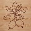 Radish Vector Art Design A high-quality digital illustration of a radish, suitable for commercial or personal use.