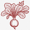 A close-up illustration of a radish root with leafy greens.