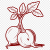 A high-quality vector illustration of a radish suitable for commercial use in various design projects.