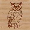 A perched owl sitting on a branch, depicted in detailed vector art.