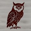 A realistic illustration of a perched owl, showcasing its distinctive features as a wild animal.