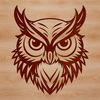 Wild Owl Portrait A detailed illustration of a wild owl's head, showcasing its feathers and facial features.