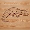 Colorful lizard graphic illustration vector art